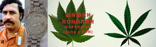 дживик Балахна